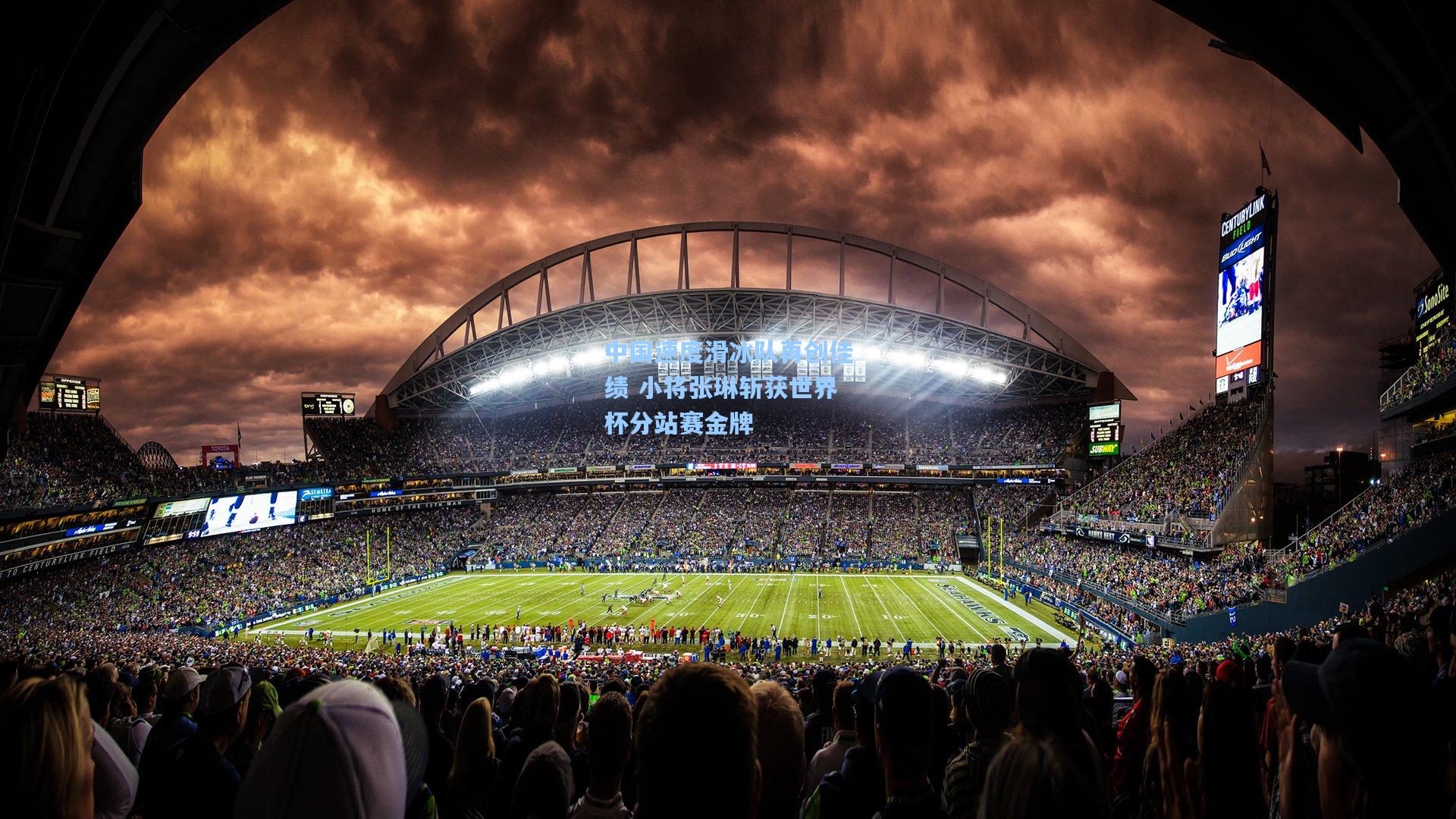 中国速度滑冰队再创佳绩 小将张琳斩获世界杯分站赛金牌